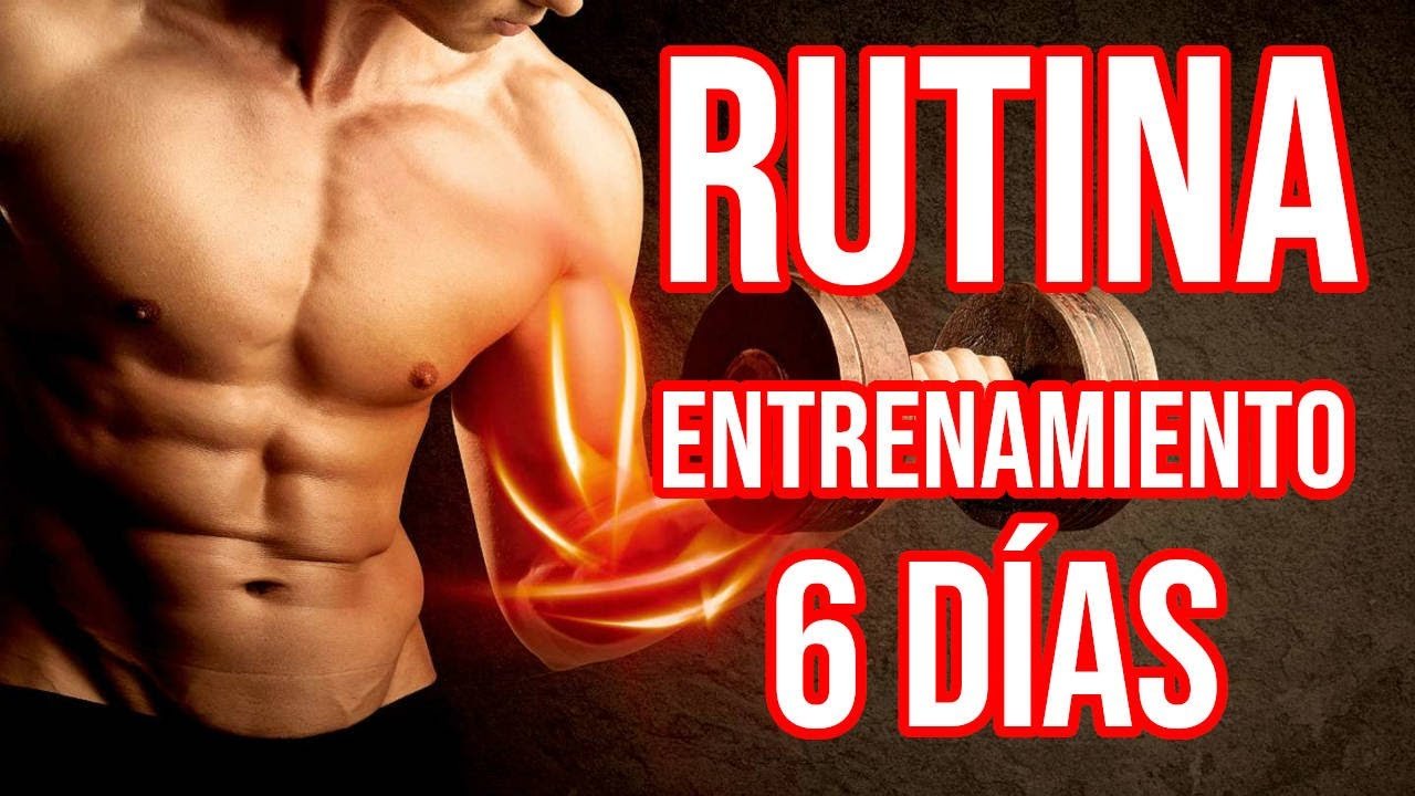 Rutina De Entrenamiento De 6 Días Maximiza Tus Resultados Rutina Pro 6604