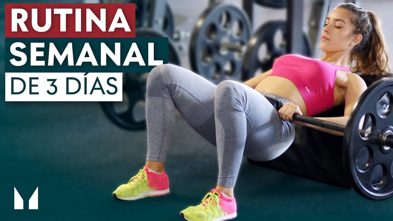 Rutina Full Body 3 Días Para Mujeres ¡desarrolla Tu Fuerza Y Tonifica Tu Cuerpo Rutina Pro